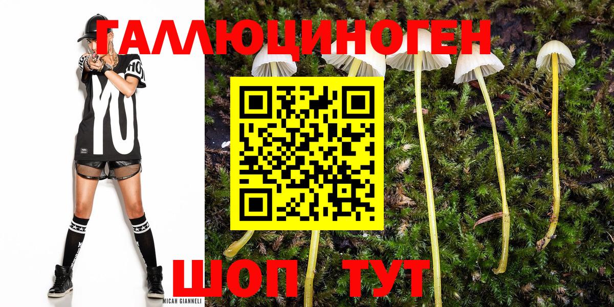 Псилоцибиновые грибы Cubensis  Псилоцибиновые грибы ЛСД  Вход с VPN  Россошь 